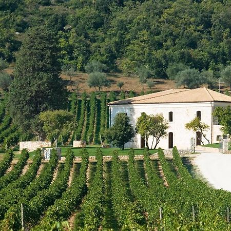 San Calisto Camere Con Vigna Пополи Екстериор снимка